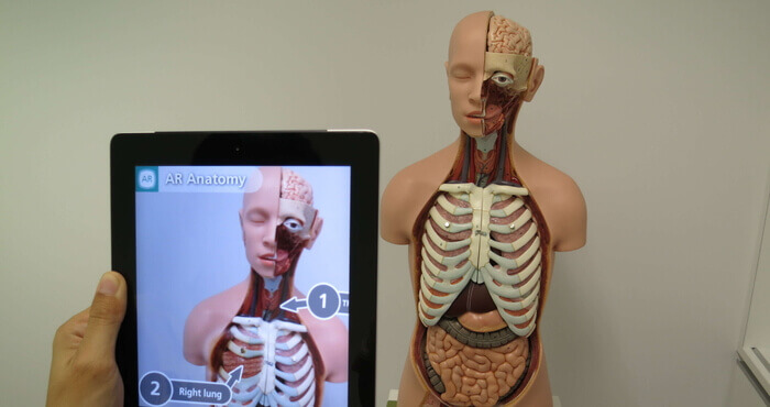 human anatomy using augmented reality